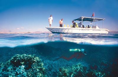 aqaba diving