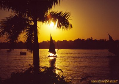 aswan tourism