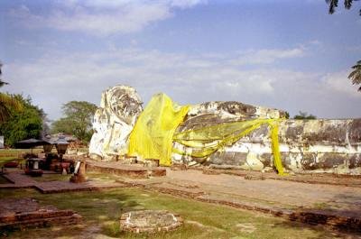 ayutthaya buddha statue