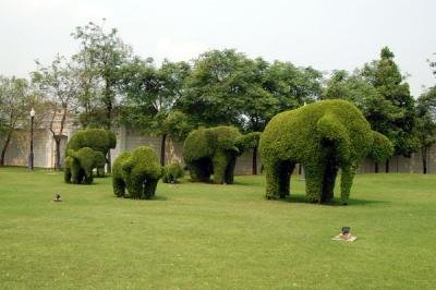 topiary garden