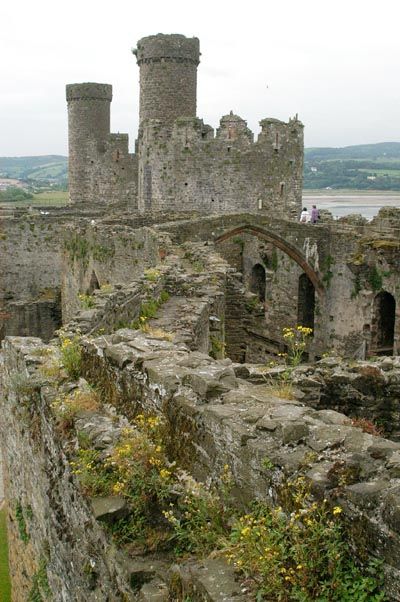 conwy castle information