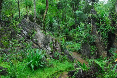 doi angkhang photos