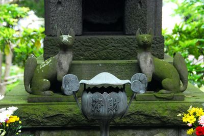 hasedera temple