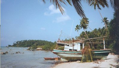 ko pha ngan tourism