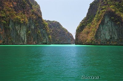 ko phi phi