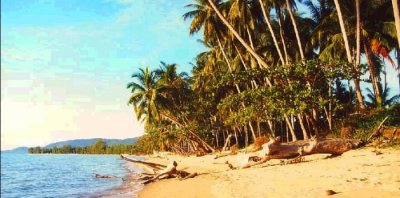 beach on ko samui