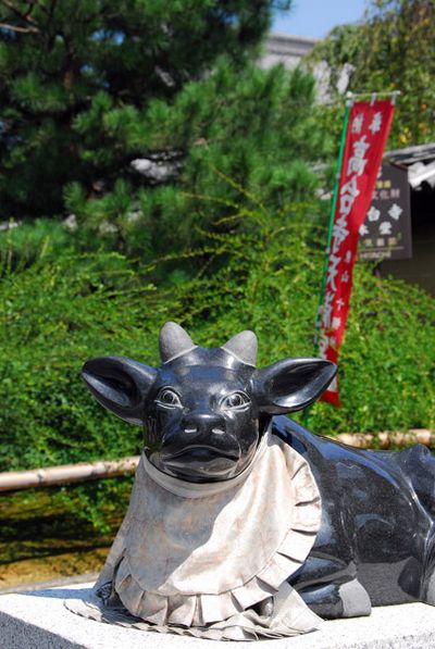 kodai ji temple japan