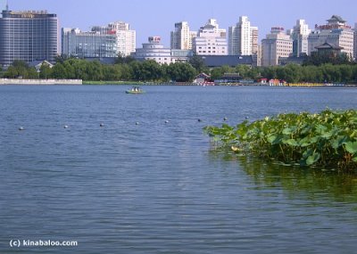 lianhuachi lotus park holidays