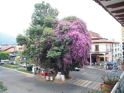 uruapan picture