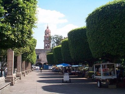 morelia