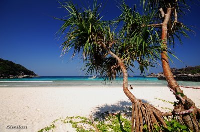 similan island beach