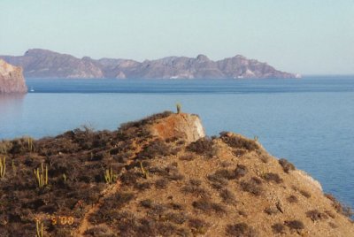 sonoran desert