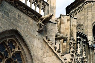 stephansdom cathedral vienna