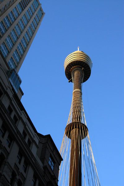 sydney tower facts