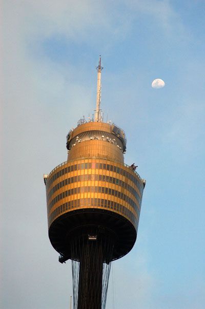 sydney tower restaurant