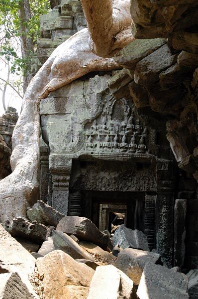 ta prohm building