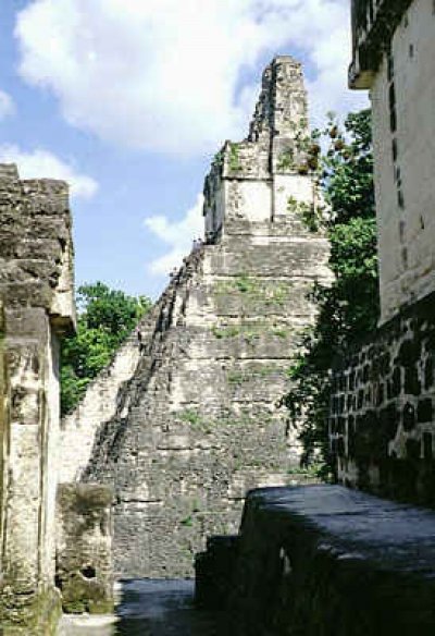 tikal mayan