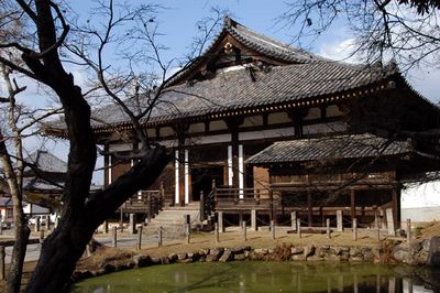 the todaiji temple