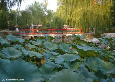 tour in zhongshan park