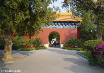 zhongshan park day tour